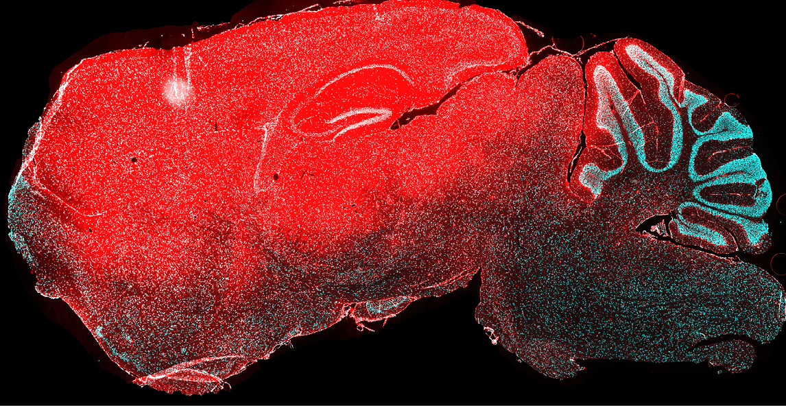  Alterman research-card.jpg