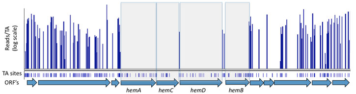 Phenotypic_profiling_picture2 Phenotypic_profiling_picture2