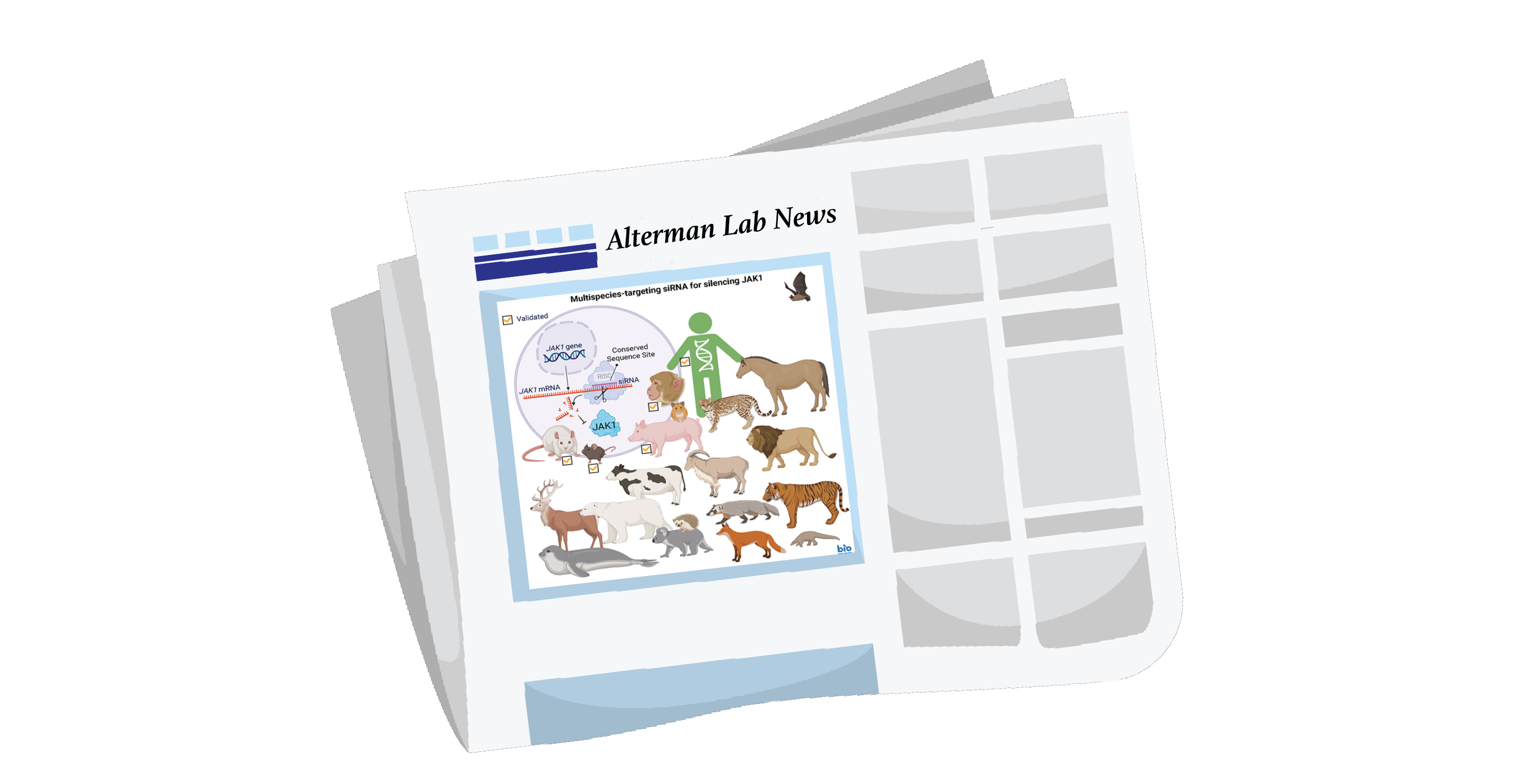  Alterman News Block.png