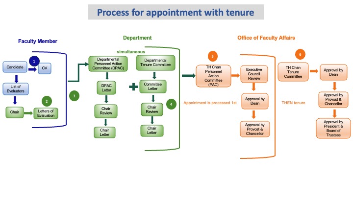 Diagram showing the appointment with tenure process