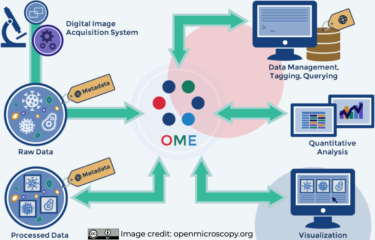The figure describes the ability of the OMERO server to support the integration of different aspects of the image data life-cycle.