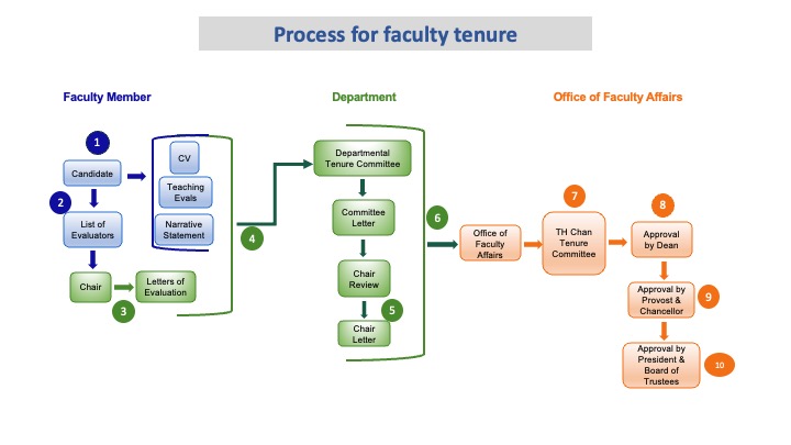 Diagram of the Award of Tenure Process Overview