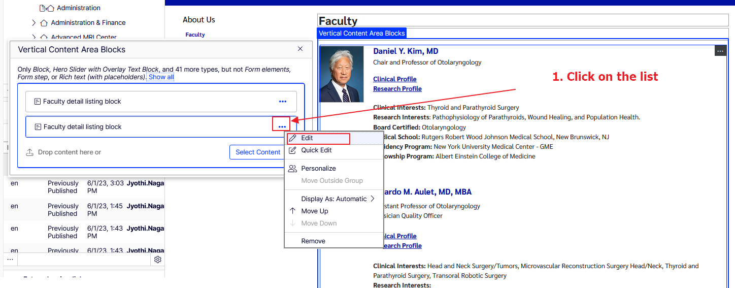 in the CMS editor, the popup that contains the blocks to be edited