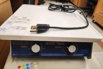 Bee: Bombus ternarius