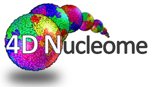 4DN logo