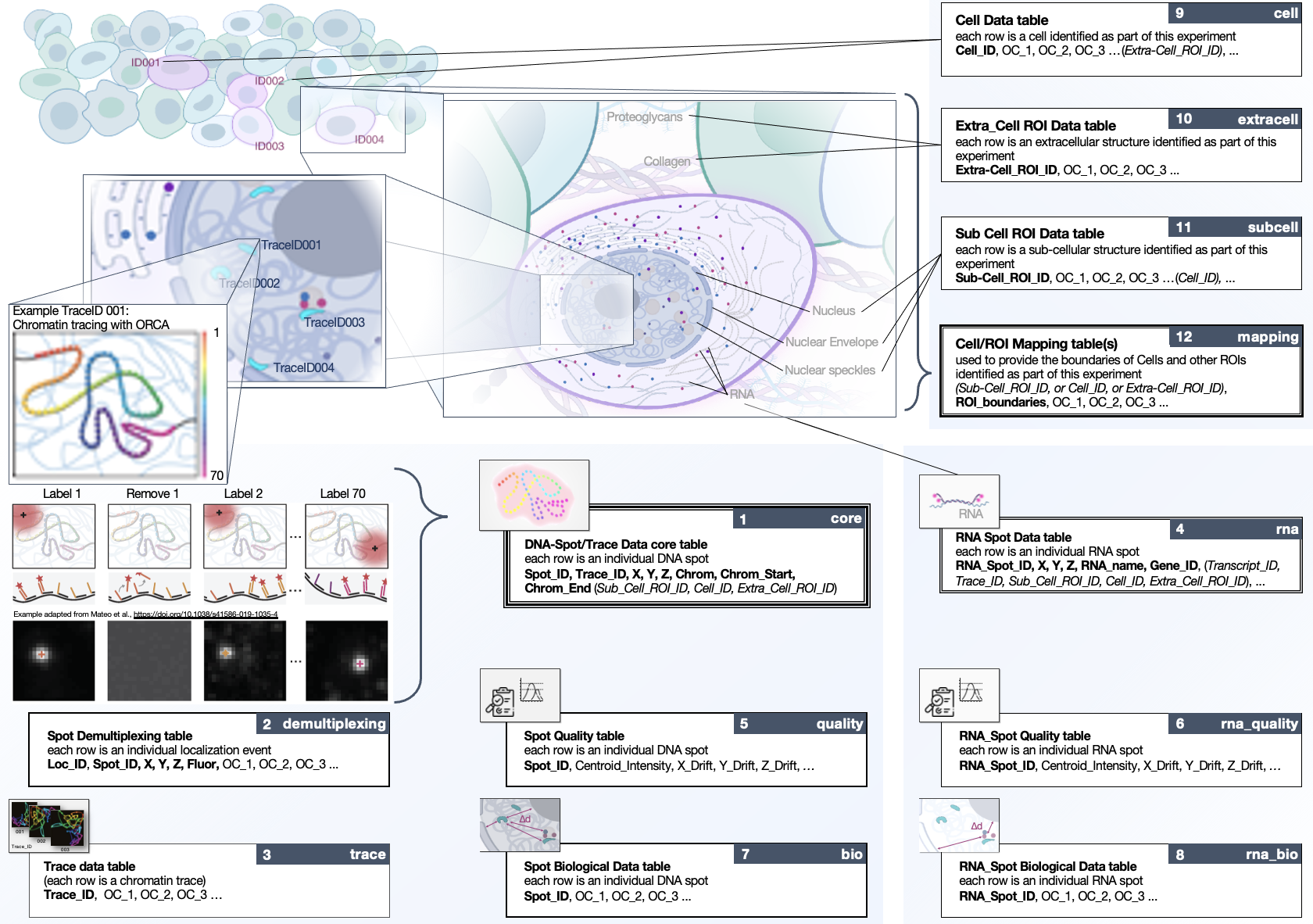 Depicted is a graphical representation of the FOF-CT format