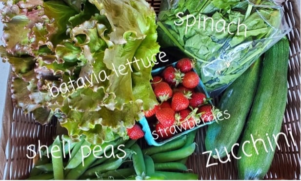 Picture of fresh produce