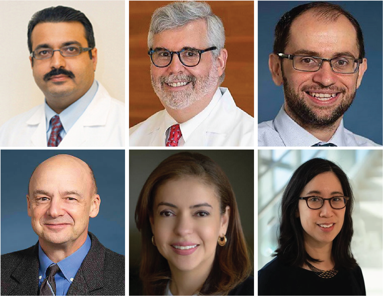 Dr. Ratnesh Chopra, Dr. Jonathan Kay, Dr. Yevgeniy (Eugene) Popov, Dr. William Traverse, Dr. Karen Salomon-Escoto, and Dr. Peggy Wu