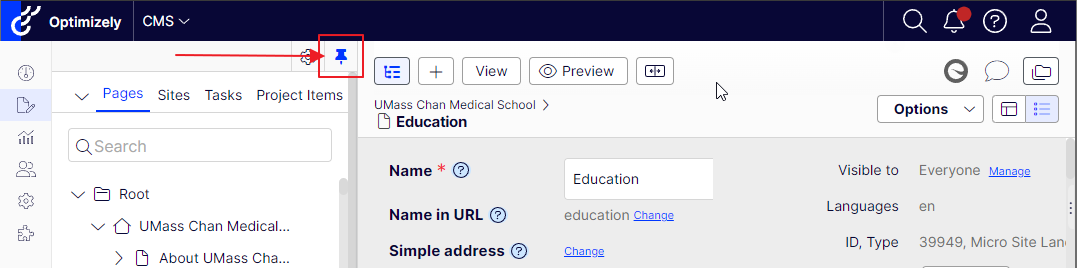 screenshot pointing to pin icon to keep panel open