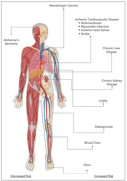 An image of the human body showing the other health risks associated with CHIP, including Alzheimer's Disease, hematologic cancers, ischemic cardiovascular disease, chronic liver disease, chronic kidney disease, COPD, Osteoporosis, blood clots, and Gout 