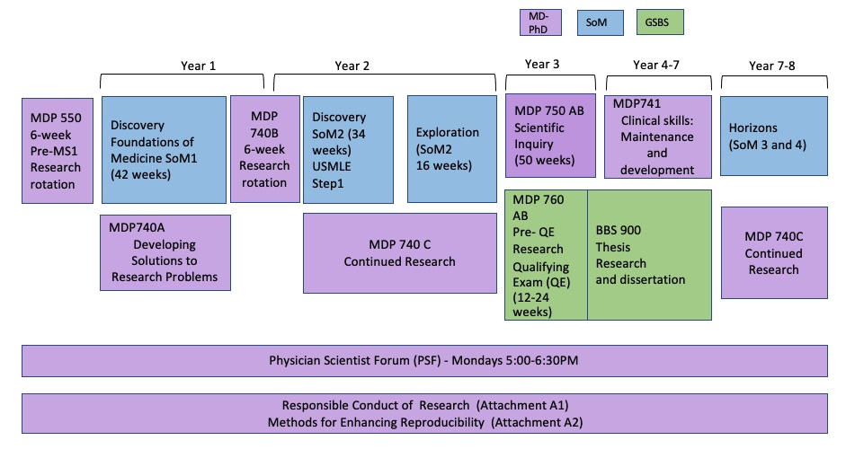 MSTP Timeline