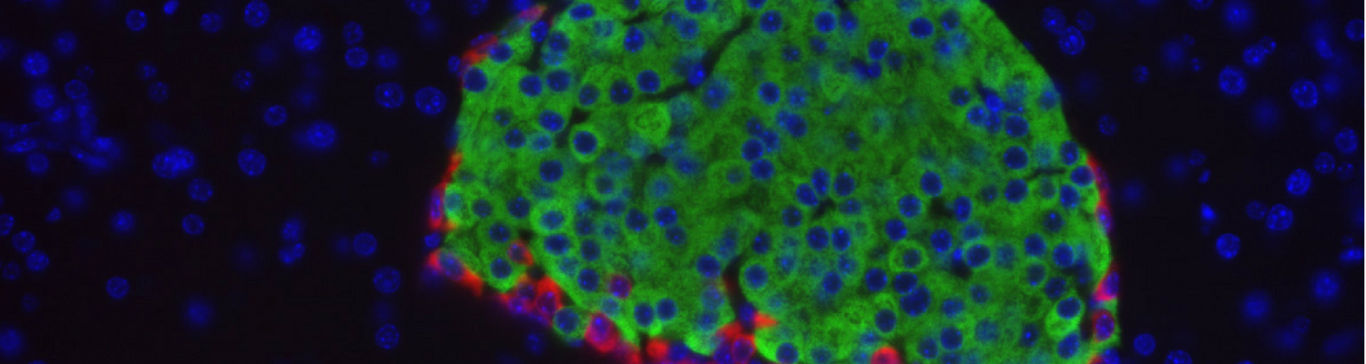 scientific study of ...