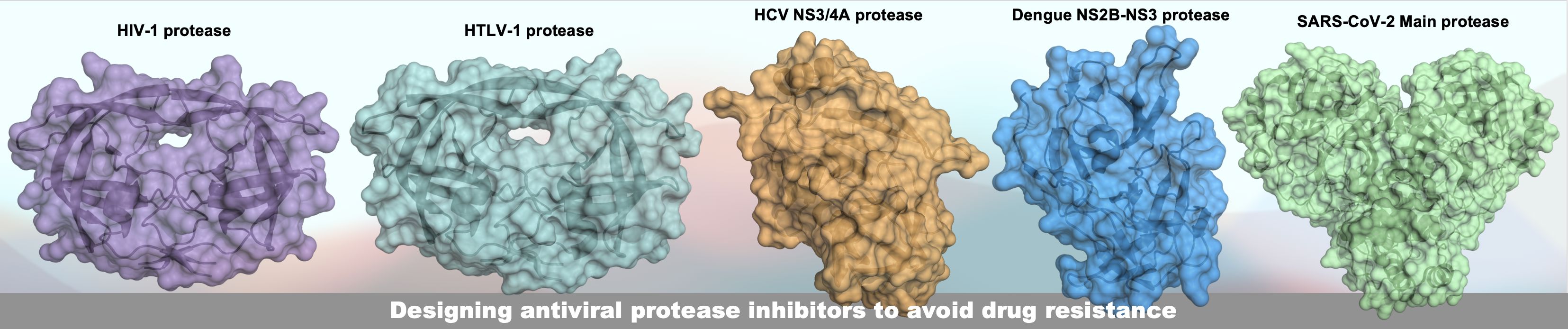 Screenshot 2025-03-10 at 1.43.33 PM.png