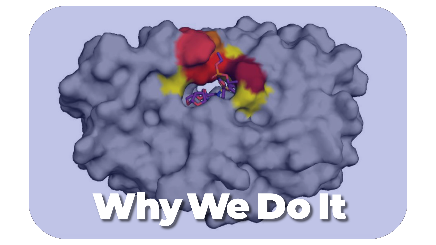  ali_Why We Do It.png