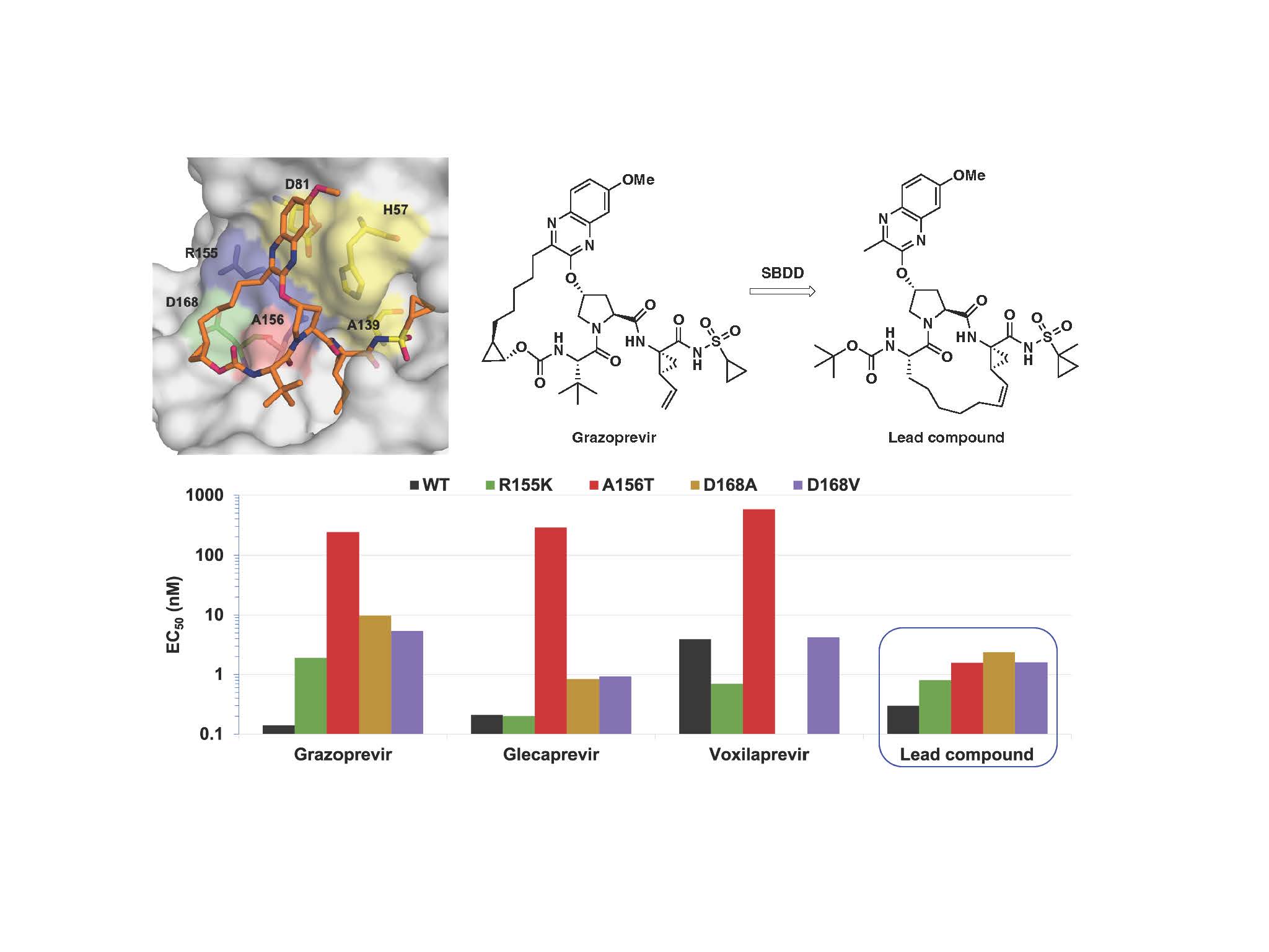 HCV NS3/4A Protease Inhibitors