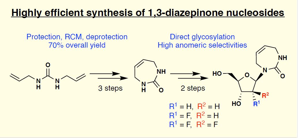 APOBEC Inhibitors