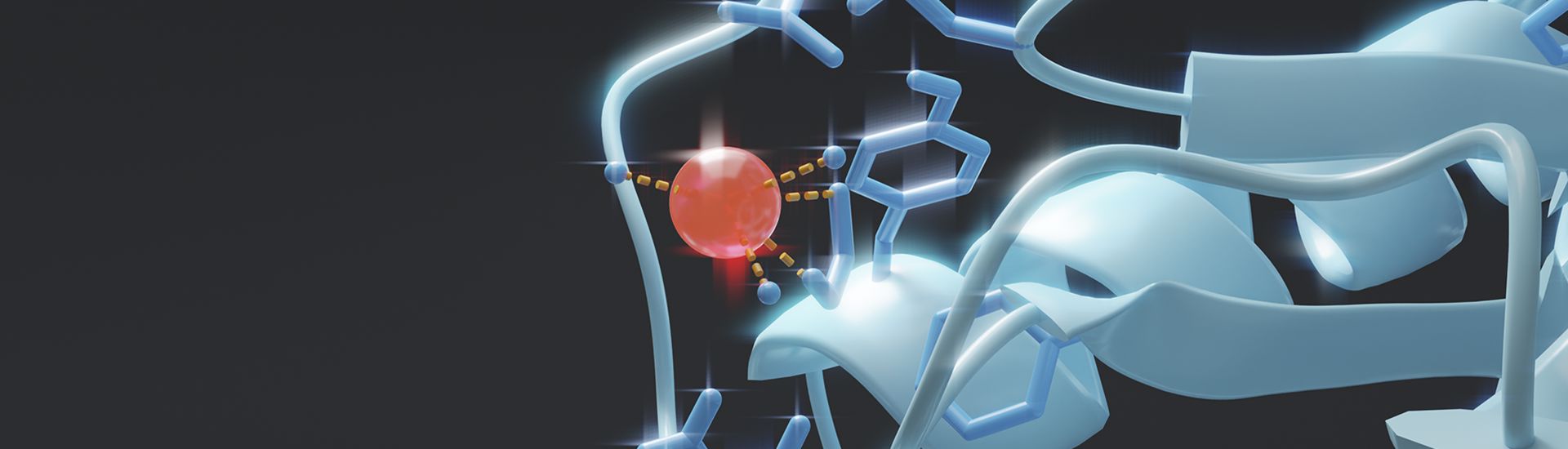 close up image of a red sphere in between blue protein ribbons in a black background 