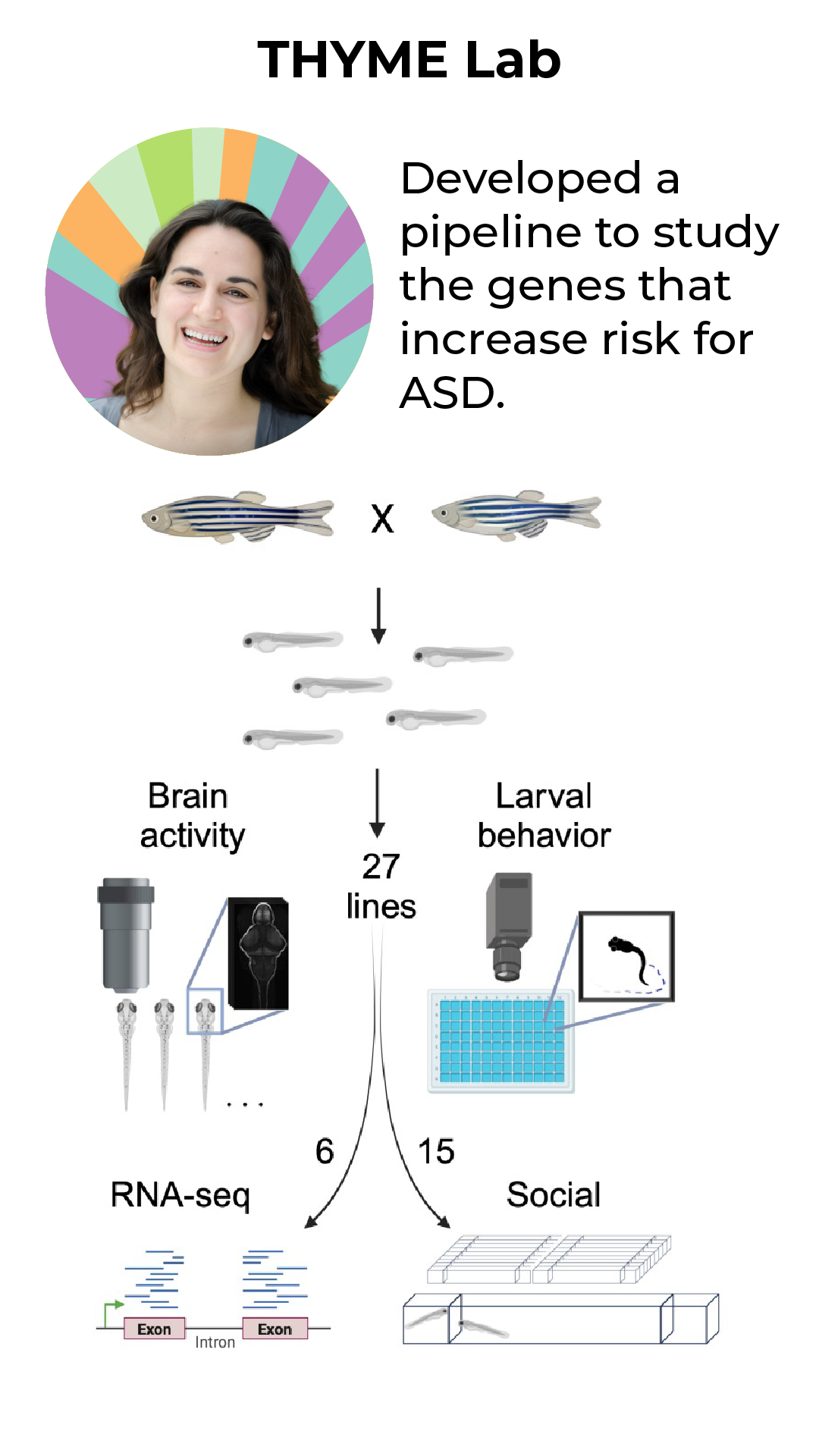 The face of a person in a circle above a diagram on how their lab study genes of fish