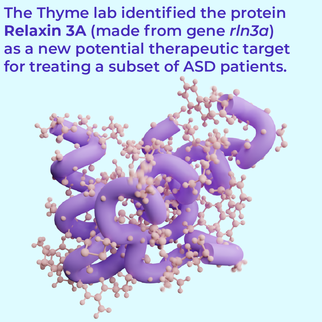 A purple thick tsited noodle with pink spheres all around representing a protein. 