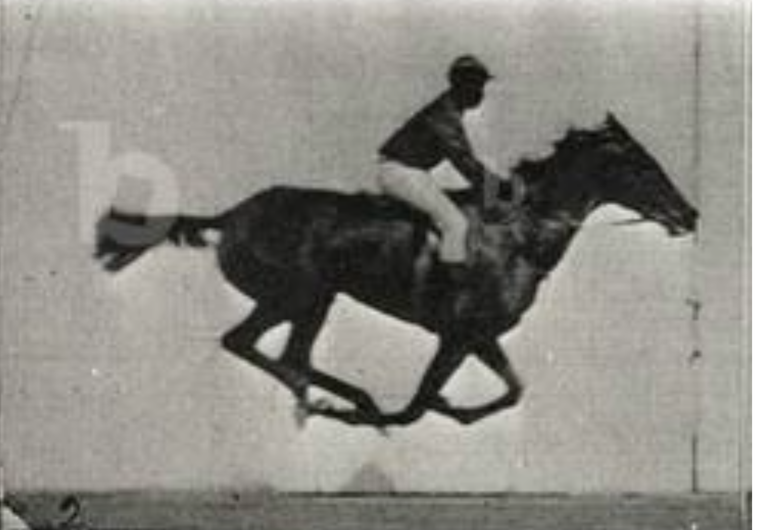 a single snapshot of a horse running while a man is riding it. all four of its feet are shown to be off the ground.