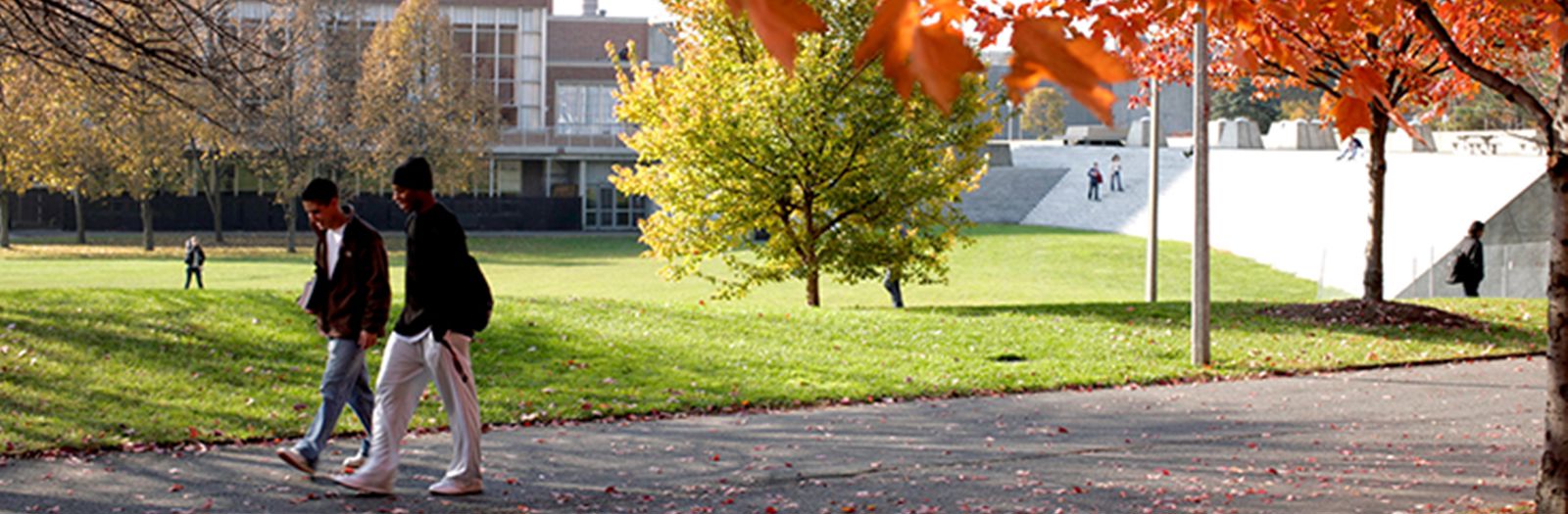 education and training homepage banner.png