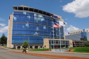 Collaborative grant awarded to study anti-oxidant therapy for retinal degenerative diseases