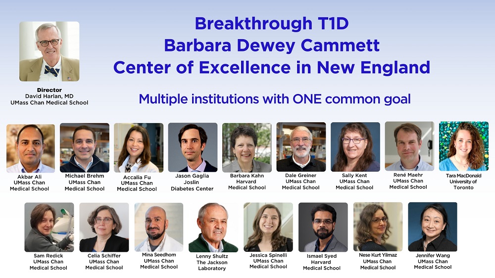 BT1D New England Center of Excellence Research Team December 2025