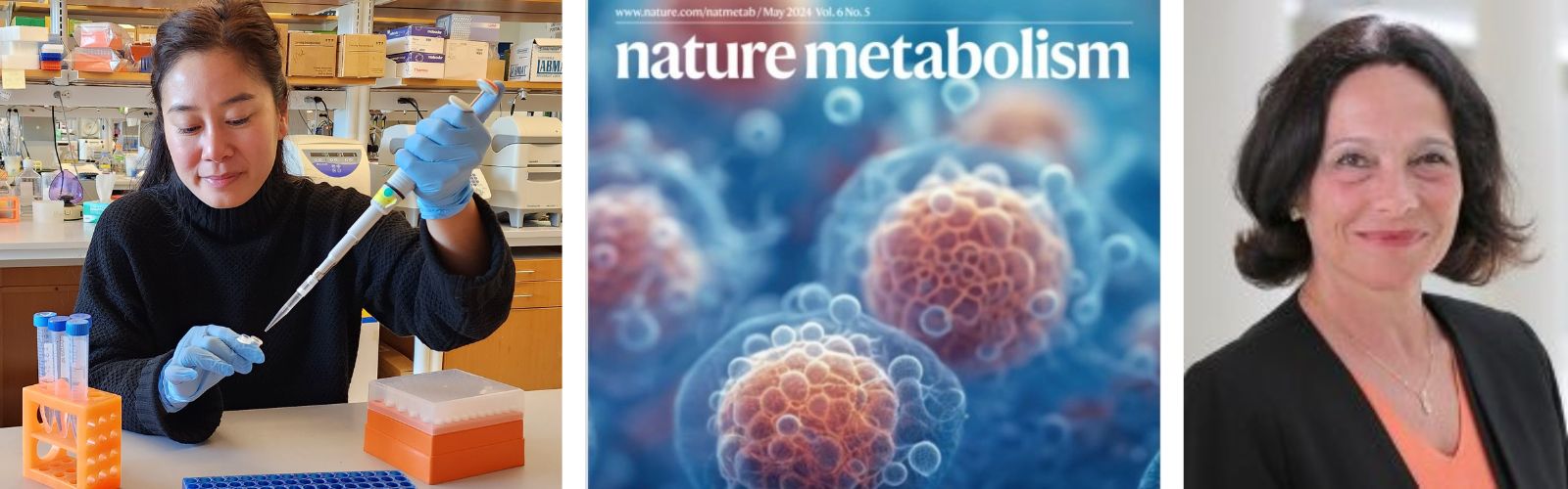 Tammy Nguyen and Silvia Corvera Fat Tissue Role in the Aging Process