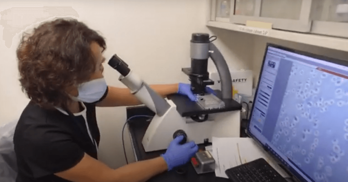 Different body fat plays a role in type 2 diabetes