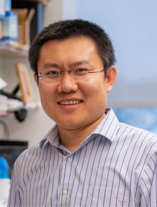Dan Wang, PhD