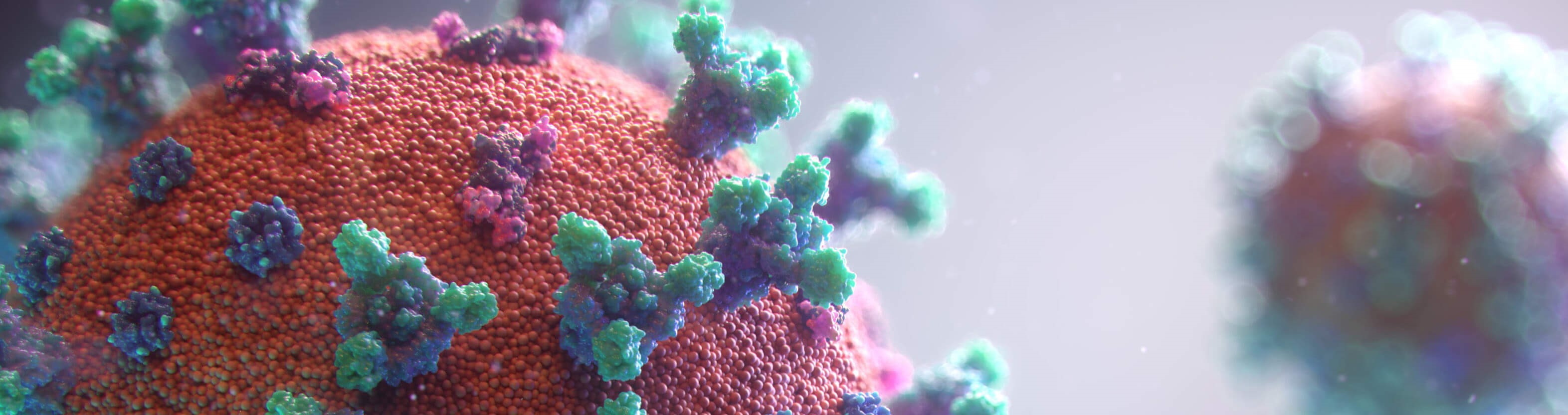 covid 19 header cr.jpg