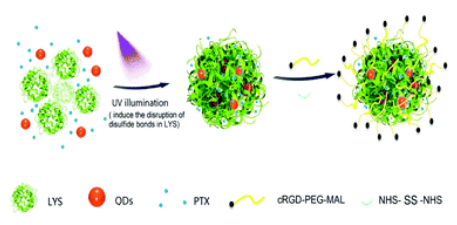 A photo-inducible protein&ndash;inorganic nanoparticle assembly for active targeted tumour theranostics