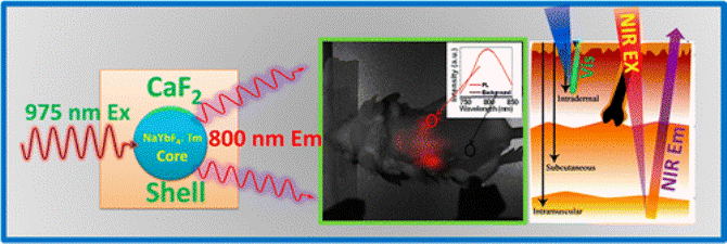 Core/Shell Nanoparticles with Efficient Near-Infrared to Near-Infrared Upconversion for High-Contrast Deep Tissue Bioimaging Core/Shell Nanoparticles with Efficient Near-Infrared to Near-Infrared Upconversion for High-Contrast Deep Tissue Bioimaging