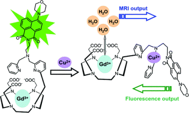 Dual-Functional Gadolinium-Based Copper(II) Probe for Selective Magnetic Resonance Imaging and Fluorescence Sensing Dual-Functional Gadolinium-Based Copper(II) Probe for Selective Magnetic Resonance Imaging and Fluorescence Sensing