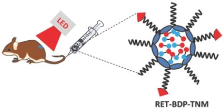 Enhancing Photodynamic Therapy through Resonance Energy Transfer Constructed Near-Infrared Photosensitized Nanoparticles. Enhancing Photodynamic Therapy through Resonance Energy Transfer Constructed Near-Infrared Photosensitized Nanoparticles.