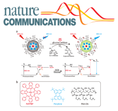 Enzymatic enhancing of triplet&ndash;triplet annihilation upconversion by breaking oxygen quenching for background-free biological sensing.