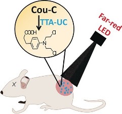 Expanding Anti-Stokes Shifting in Triplet-triplet Annihilation Upconversion for In Vivo Anticancer Prodrug Activation Expanding Anti-Stokes Shifting in Triplet-triplet Annihilation Upconversion for In Vivo Anticancer Prodrug Activation