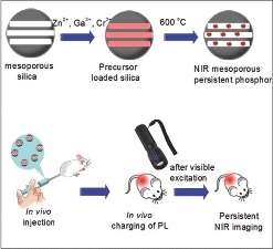 In Vivo Repeatedly Charging Near‐Infrared‐Emitting Mesoporous SiO2/ZnGa2O4:Cr3+ Persistent Luminescence Nanocomposites In Vivo Repeatedly Charging Near‐Infrared‐Emitting Mesoporous SiO2/ZnGa2O4:Cr3+ Persistent Luminescence Nanocomposites