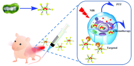 Multifunctional Cu39S28 Hollow Nanopeanuts for In Vivo Targeted Photothermal Chemotherapy. Multifunctional Cu39S28 Hollow Nanopeanuts for In Vivo Targeted Photothermal Chemotherapy.