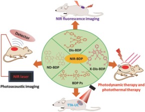 Near Infrared Boron Dipyrromethene Nanoparticles for Optotheranostics Near Infrared Boron Dipyrromethene Nanoparticles for Optotheranostics