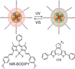 Photoswitchable Near Infrared Emitting Organic BODIPY Nanoparticles, Particle and Particle Systems Characterization. Photoswitchable Near Infrared Emitting Organic BODIPY Nanoparticles, Particle and Particle Systems Characterization.
