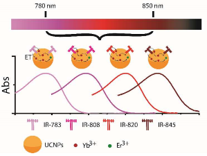 Tailoring dye-sensitized upconversion nanoparticle excitation bands towards excitation wavelength selective imaging Tailoring dye-sensitized upconversion nanoparticle excitation bands towards excitation wavelength selective imaging