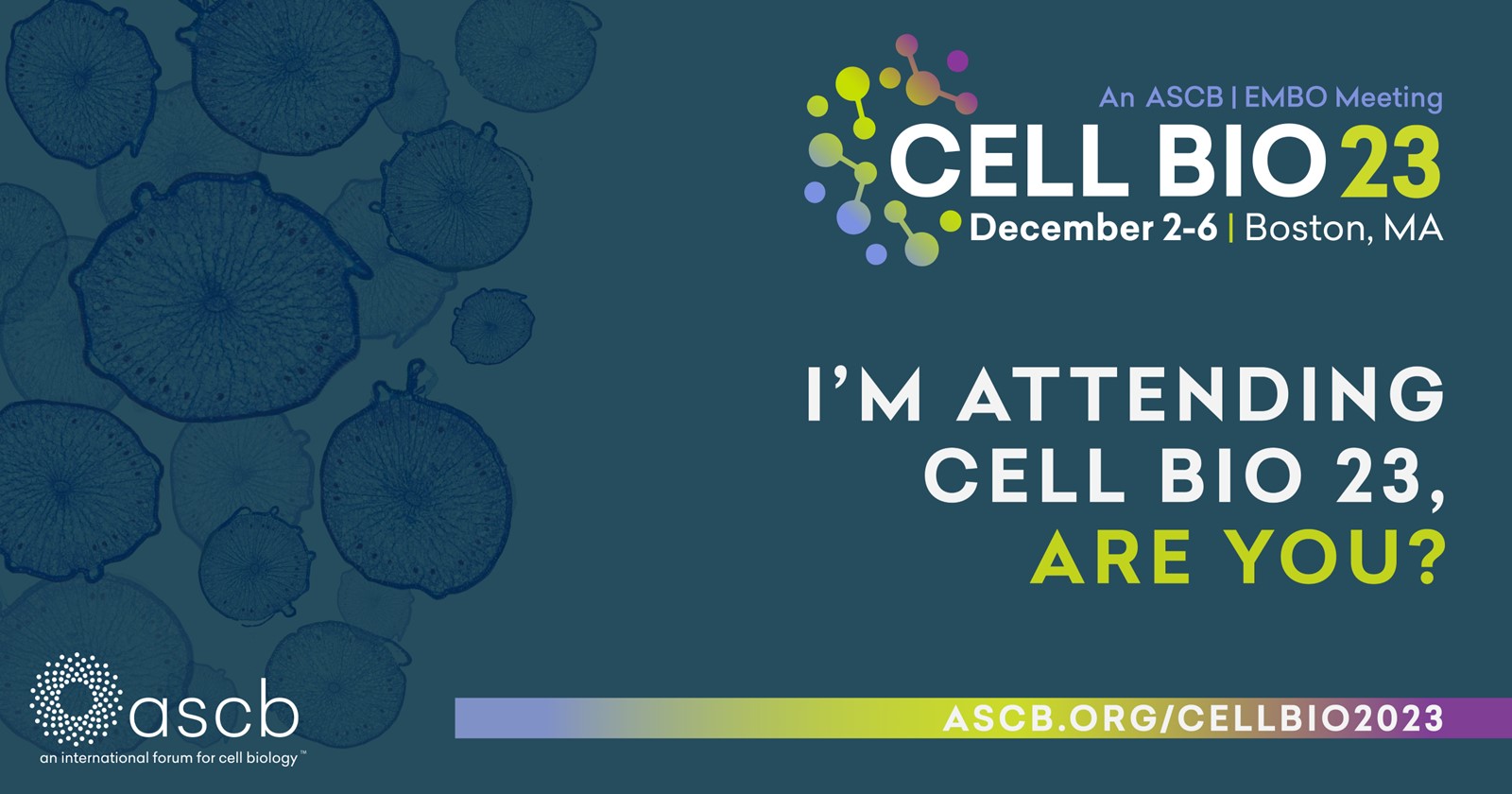 iCAP leadership team attends ASCB