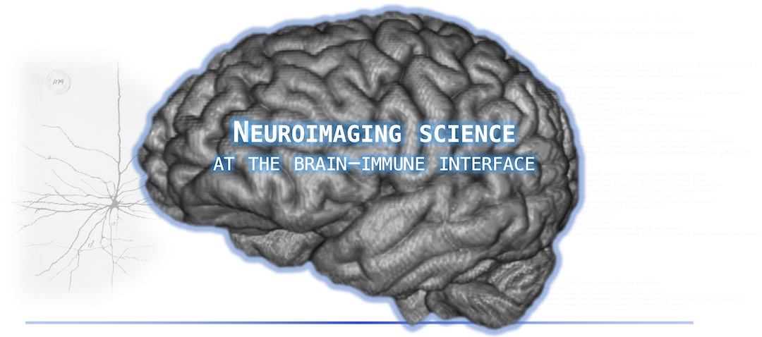 A picture of a brain with other stylized elements