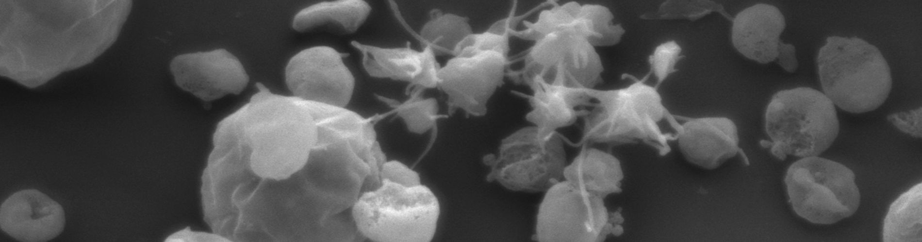 6 Koupenova Home Slider