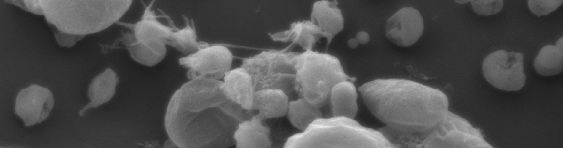 7 Koupenova Home Slider