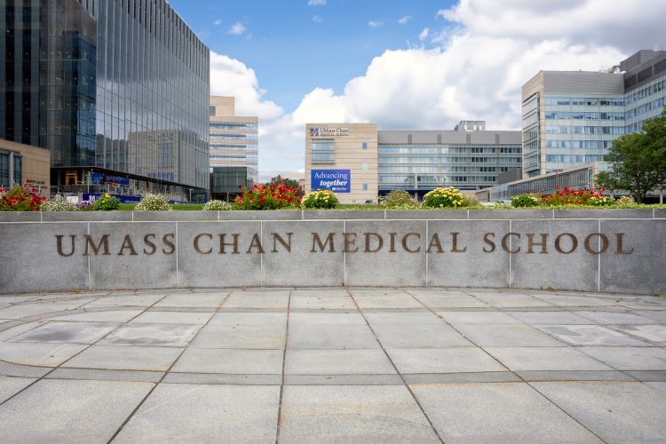 stone wall on the UMass campus that says UMass Chan Medical School