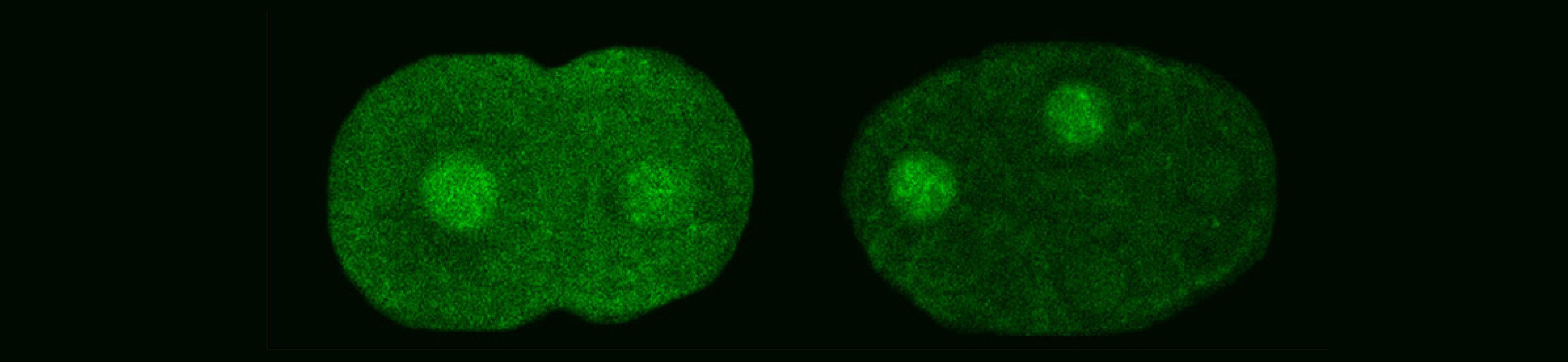 CM Hero SLider-2.png