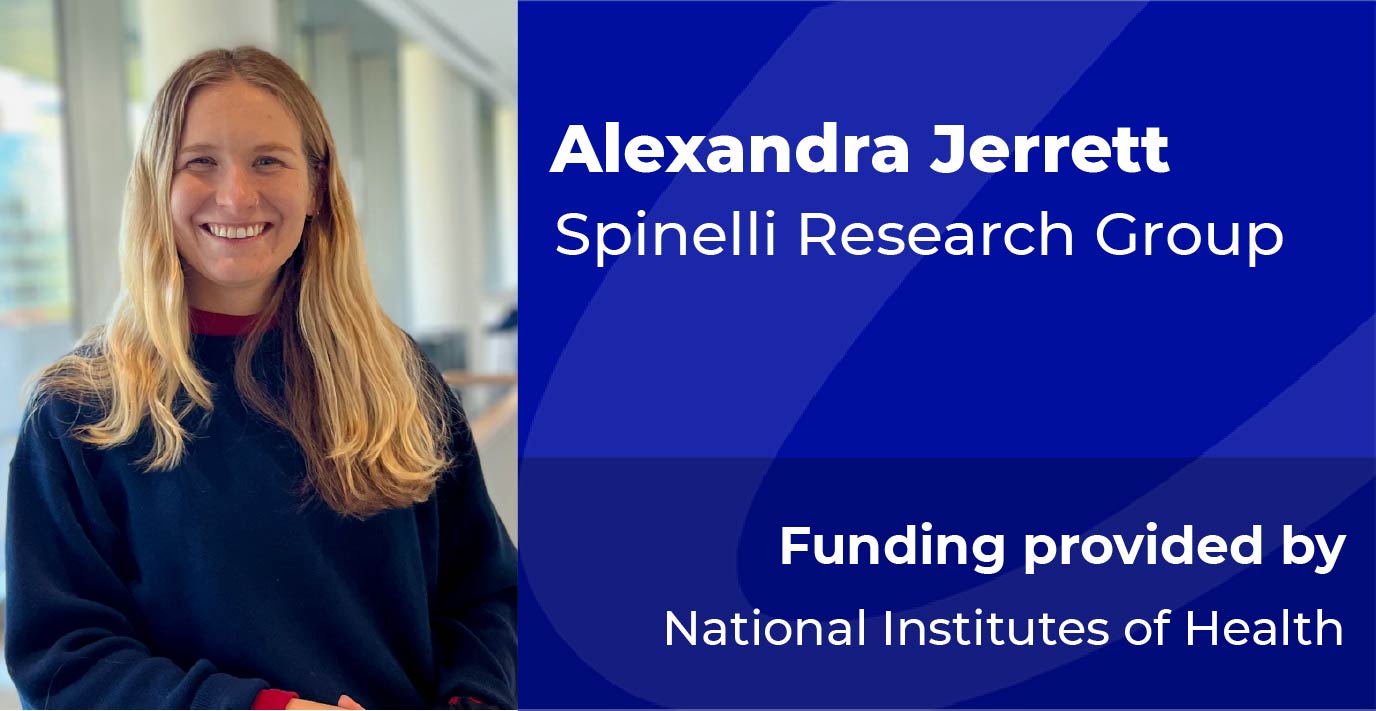 Alexandra Jerrett | Spinelli Research Group | Funded by NIH