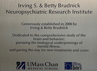 Director's message - read more